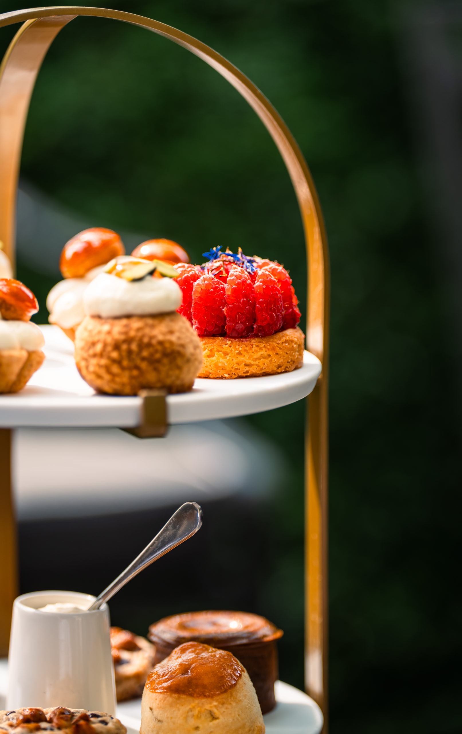 RGANDCO R5 02081 1 scaled