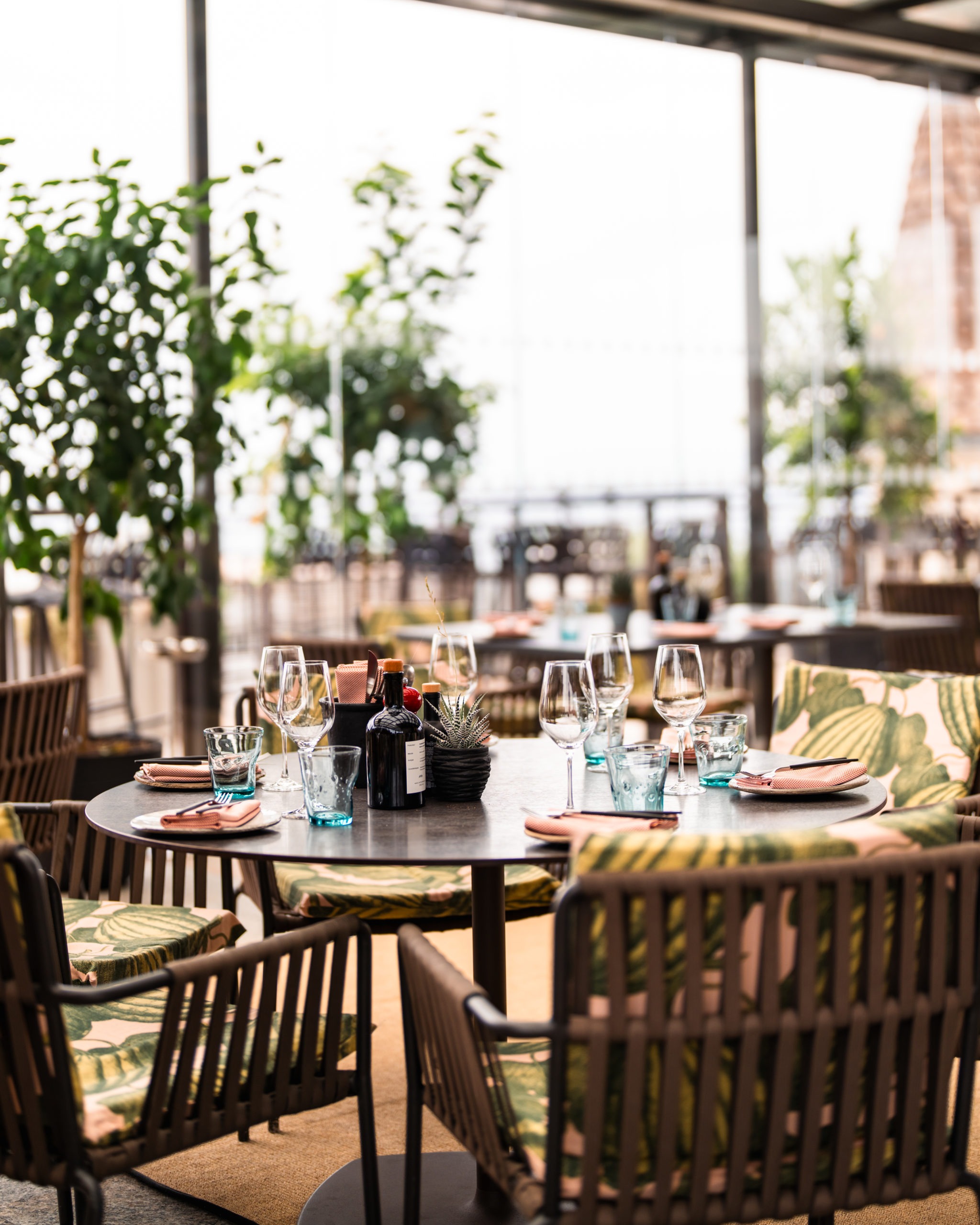 RGANDCO R5 02513 scaled