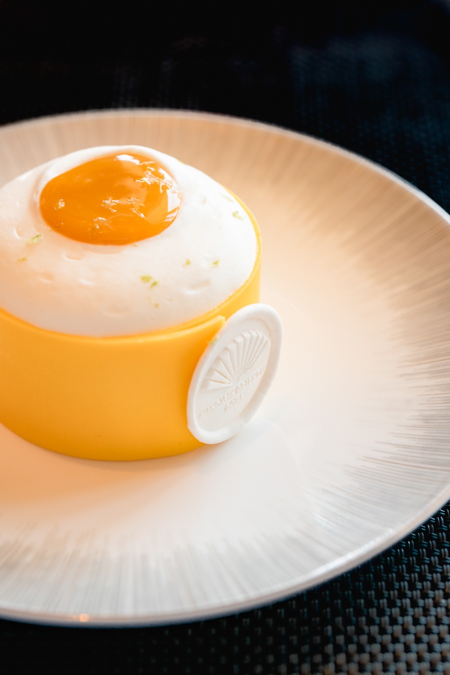 RGANDCO R5 00220 Modifier 1