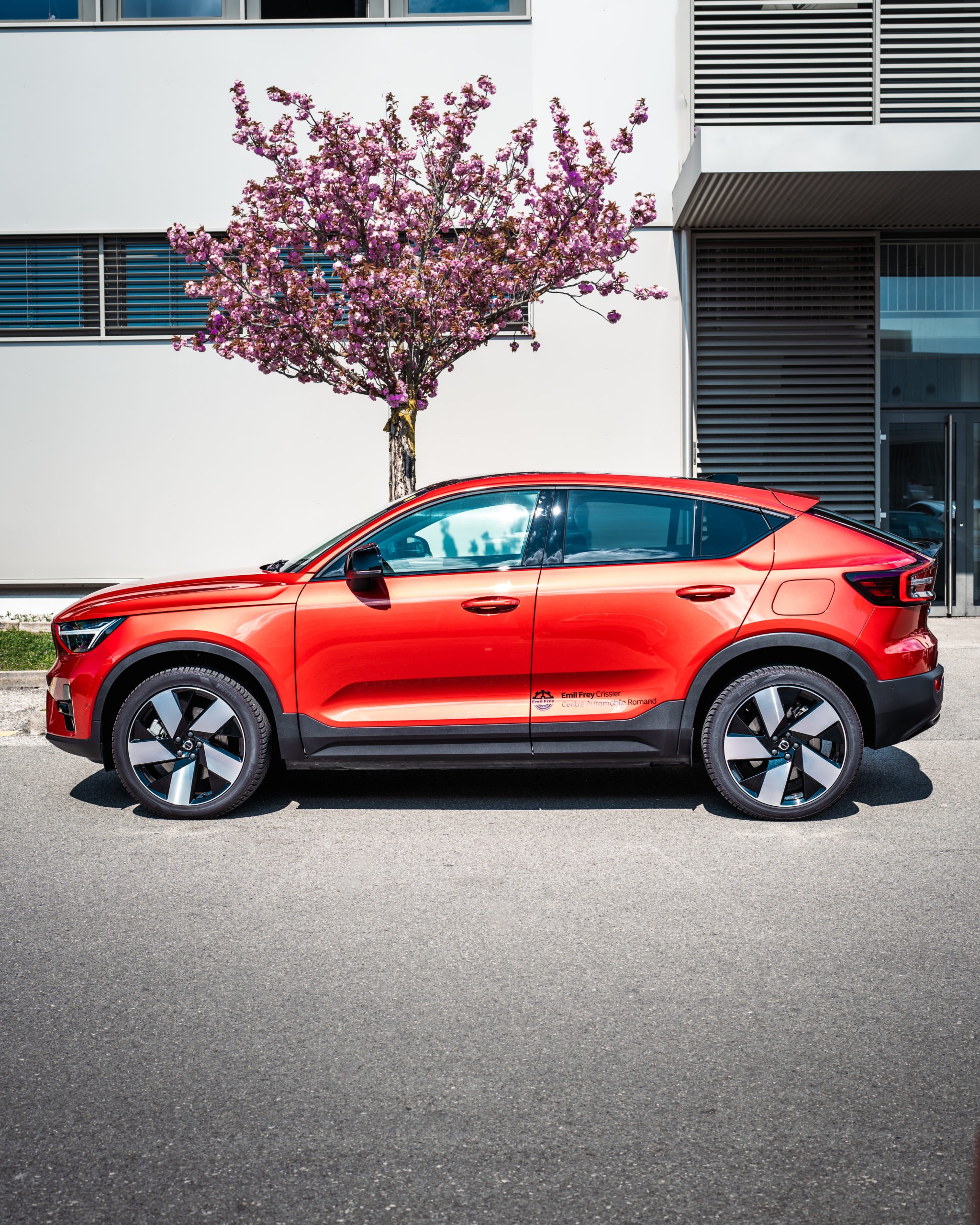 RGANDCO R5 05495 scaled