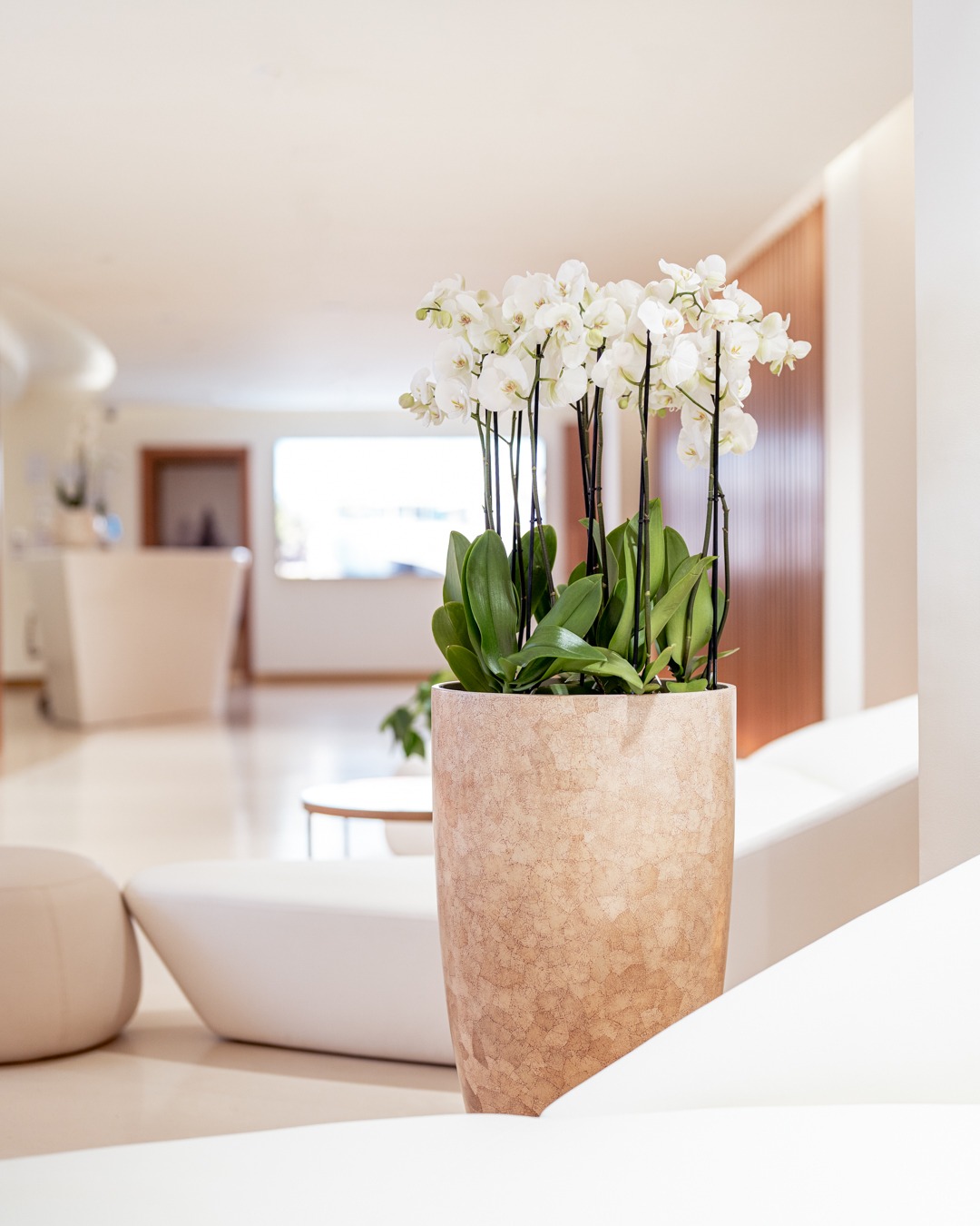 RGANDCO 20240307 R5 01578